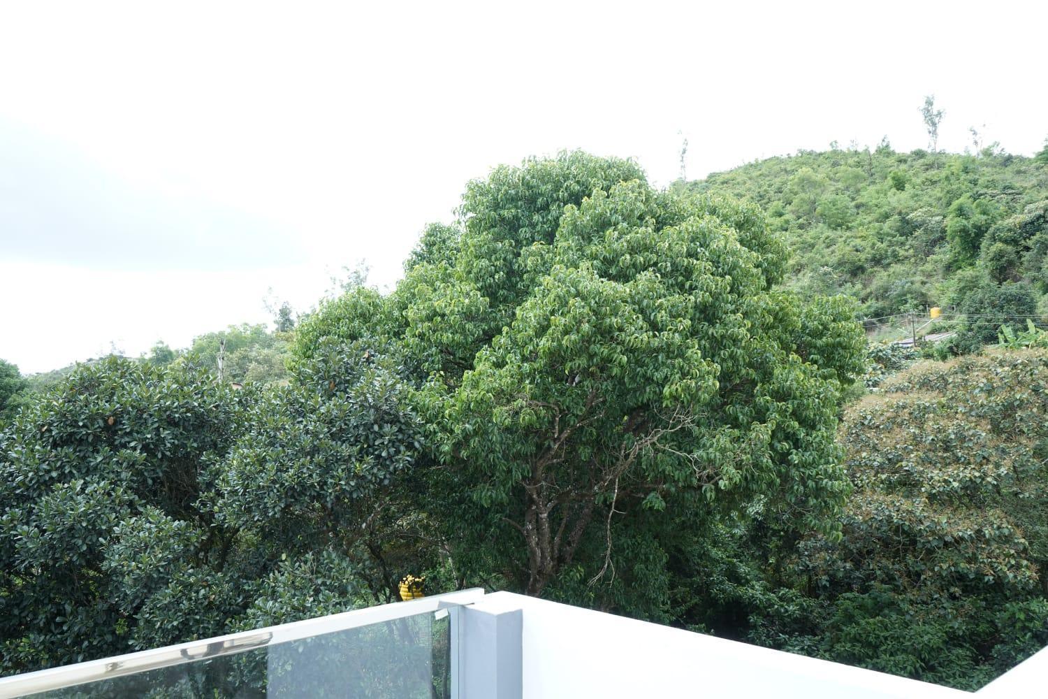 Coorg Homestay
